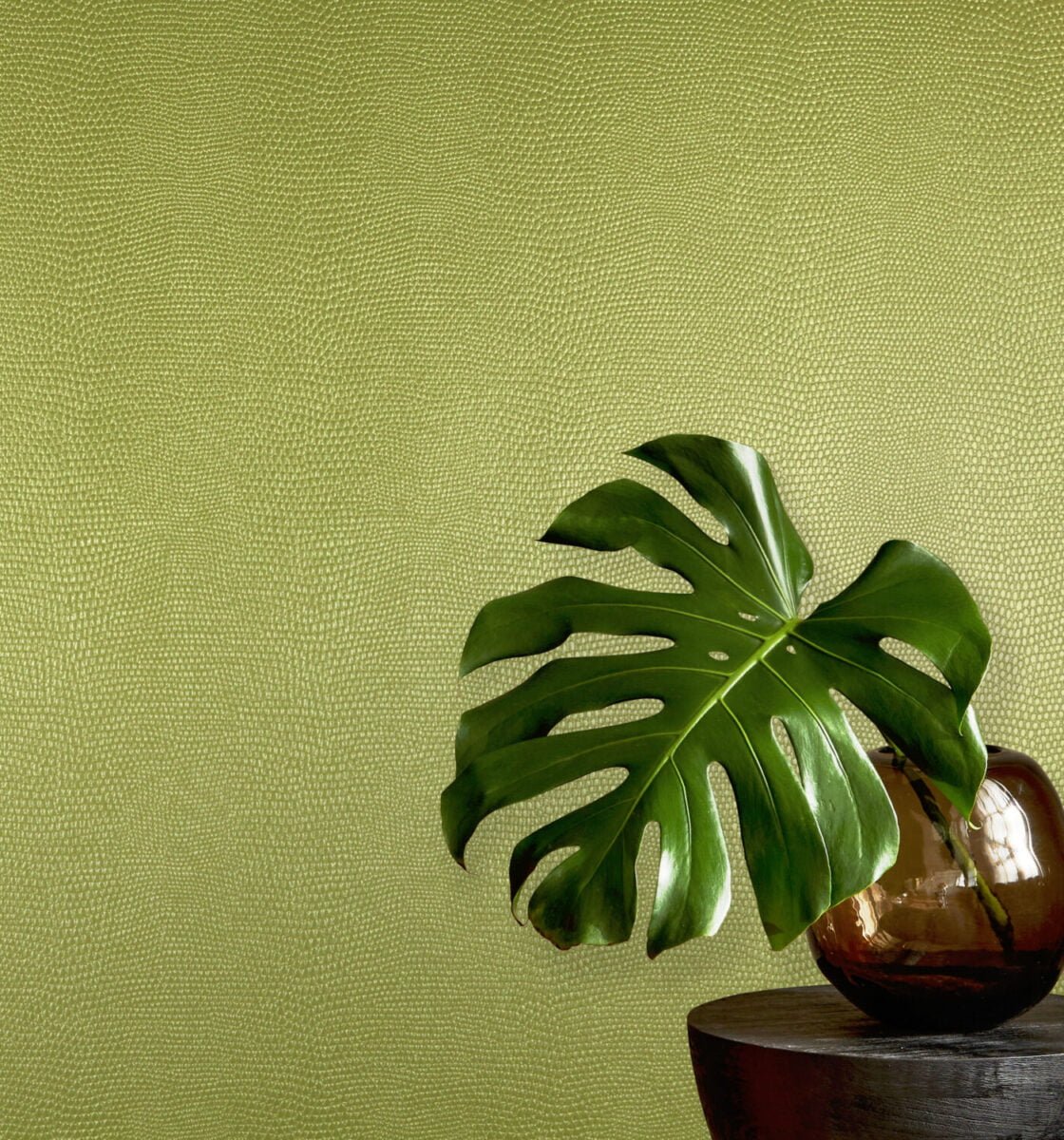 Command Wallcoverings Introduces 4 New Patterns Inspired by Nature - National Solutions