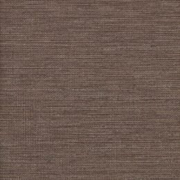 Acappella - Baritone Brown Wallcover